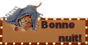 gif bonne nuit chat